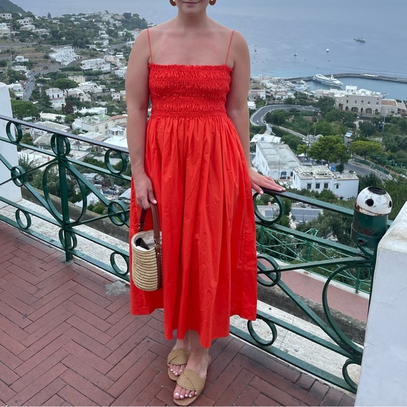 Runway Scout Ruched Midi Dress - Picture 4 of 4